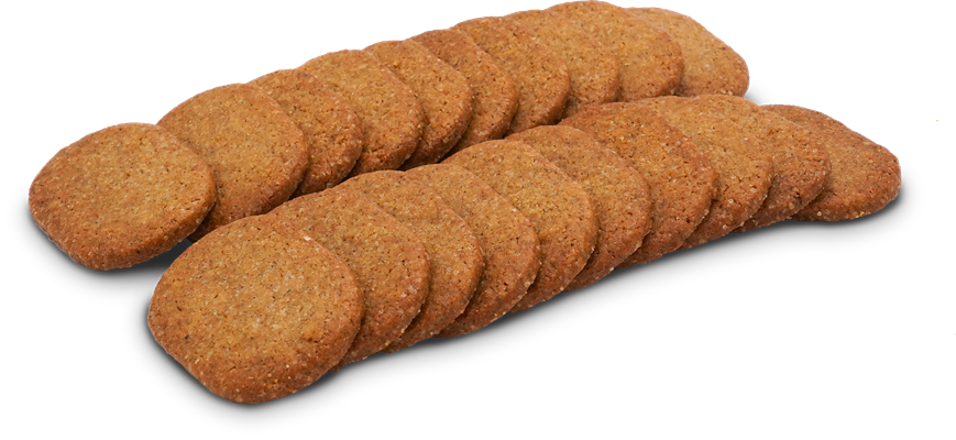 Spéculoos - Photo 2