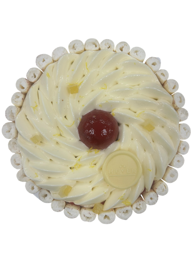 Fleur givrée - Photo 2