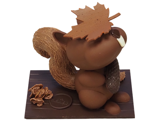 L'Écureuil Gourmand - Photo 2