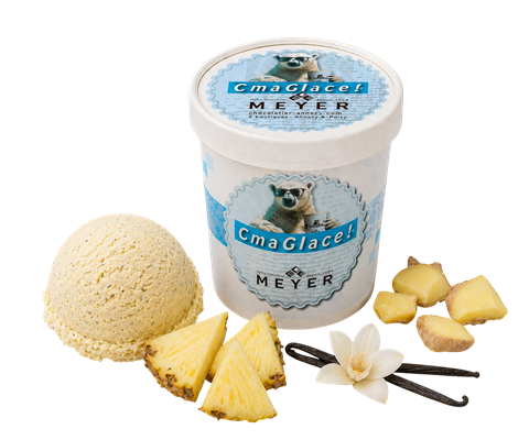 Sorbet plein fruit ananas vanille gingembre