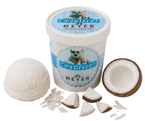 Sorbet plein fruit Noix de coco