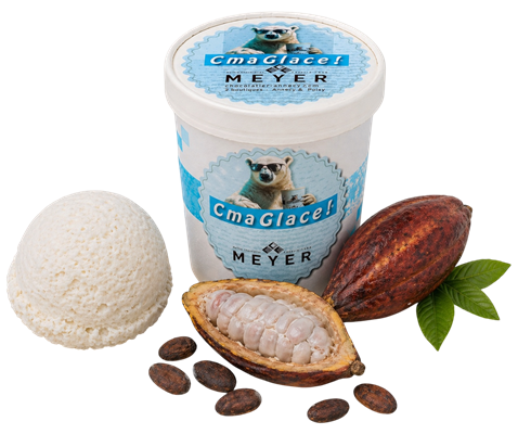 Sorbet plein fruit mucilage