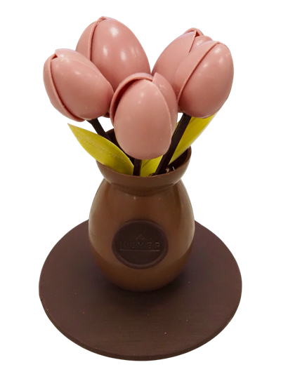 Bouquet de Tulipes