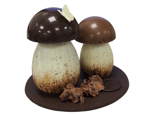 Champignons d'Automne
