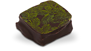 PRALINÉ BOURGEON DE SAPIN - Photo 1