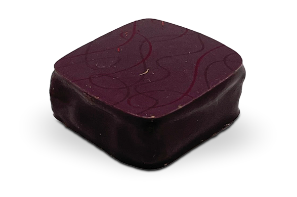 PRALINÉ GIANDUJA MYRTILLE - Photo 1
