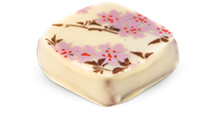 GANACHE VANILLE DE TAHITI - Photo 1
